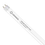 Ledvance Tube LED T8 Performance Food (EM/Direct 230V) Standard Output 5.2W 500lm - 833 Blanc Chaud | 60cm - Équivalent 18W