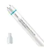 Philips LED Buis T8 MASTER Value (EM/Mains) High Output 8W 1050lm - 865 Daglicht | 60cm - Vervangt 18W
