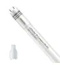 Philips Tube LED T8 CorePro (UN) High Output 8W 900lm - 840 Blanc Froid | 60cm - Équivalent 18W