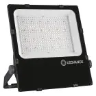 Ledvance LED Floodlight Performance 290W 38200lm 55x110D - 840 Koel Wit | IP66 - Dali Dimbaar - Asymmetrisch 