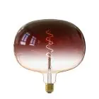 Calex Boden Marron LED E27 Filament 5W 130lm - 818 Zeer Warm Wit | Dimbaar